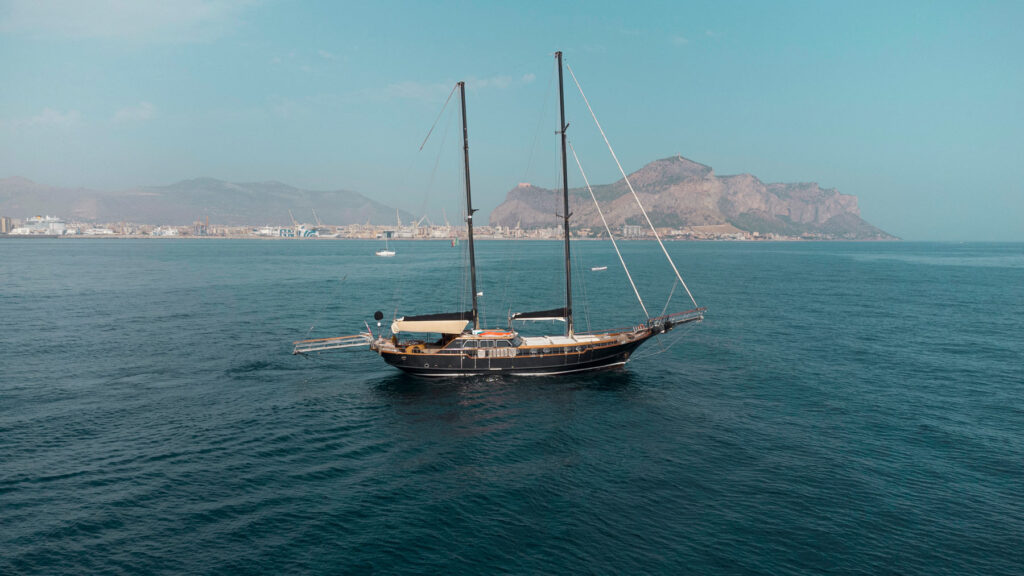 Iride-Consulting®-(19) iride-consulting-sviluppo-web-sealife